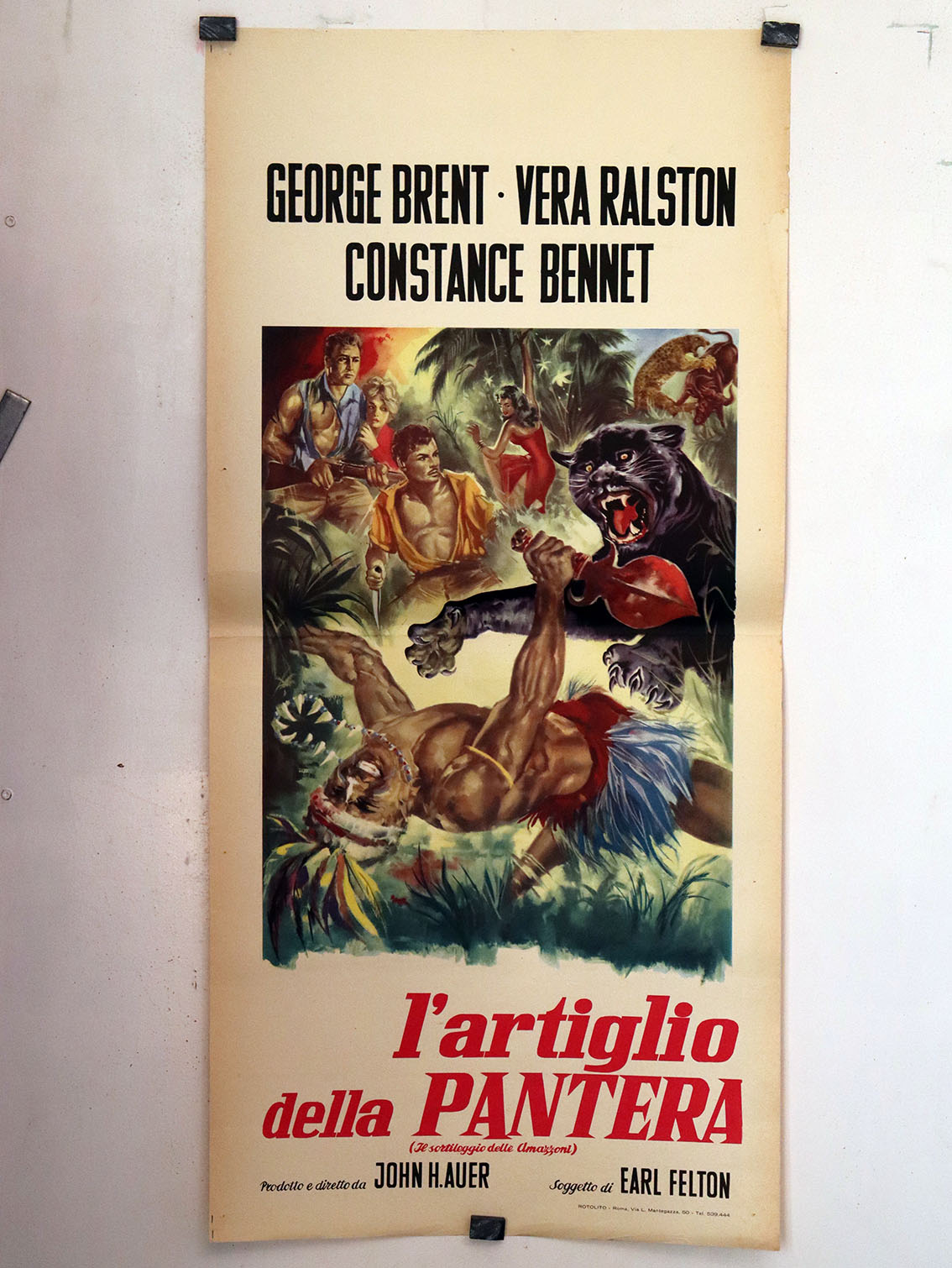 LARTIGLIO DELLA PANTERA