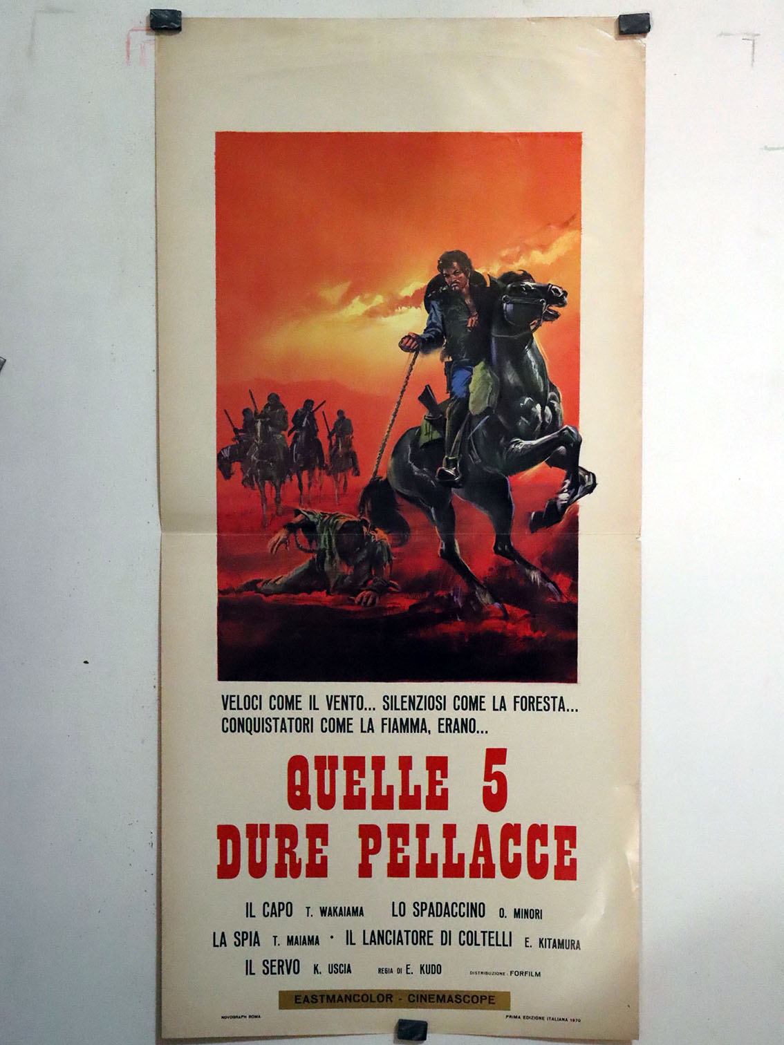 QUELLE 5 DURE PELLACCE