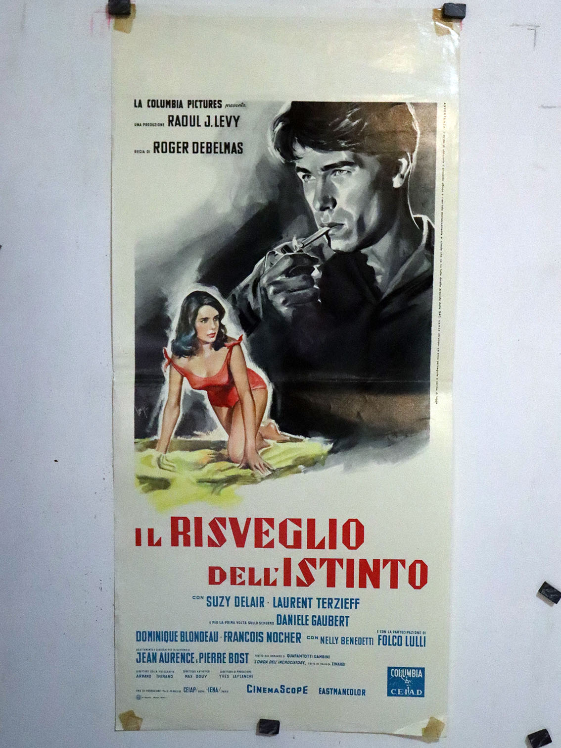 IL RISVEGLIO DELL�ISTINTO