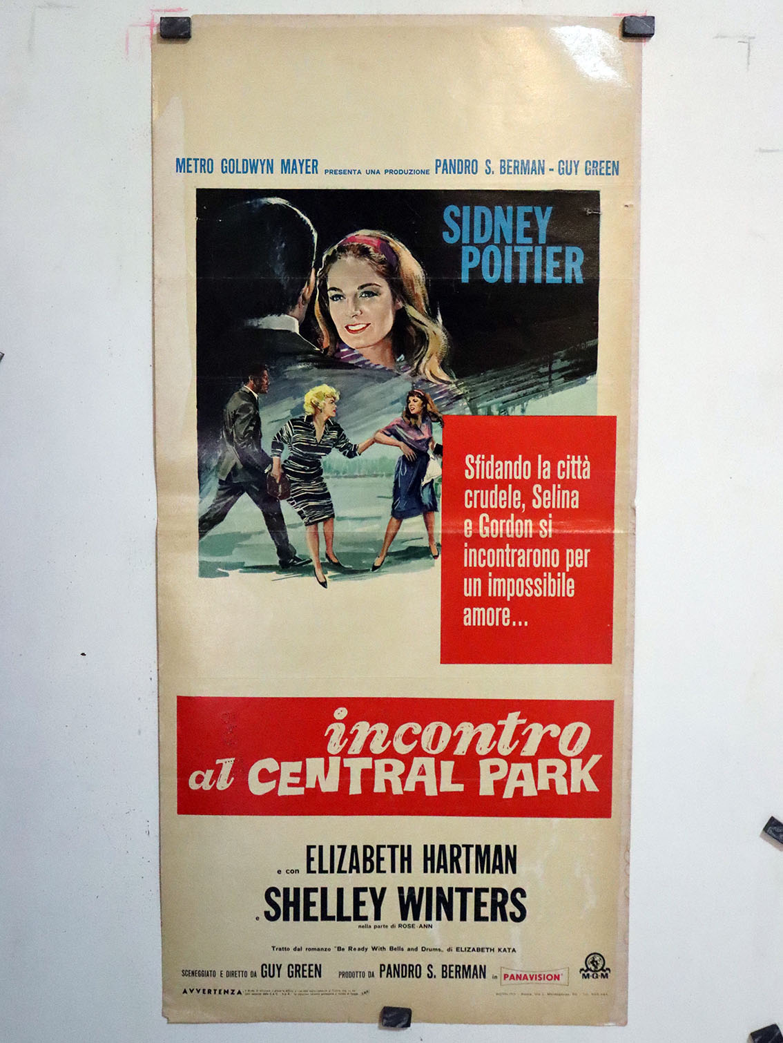 INCONTRO AL CENTRAL PARK