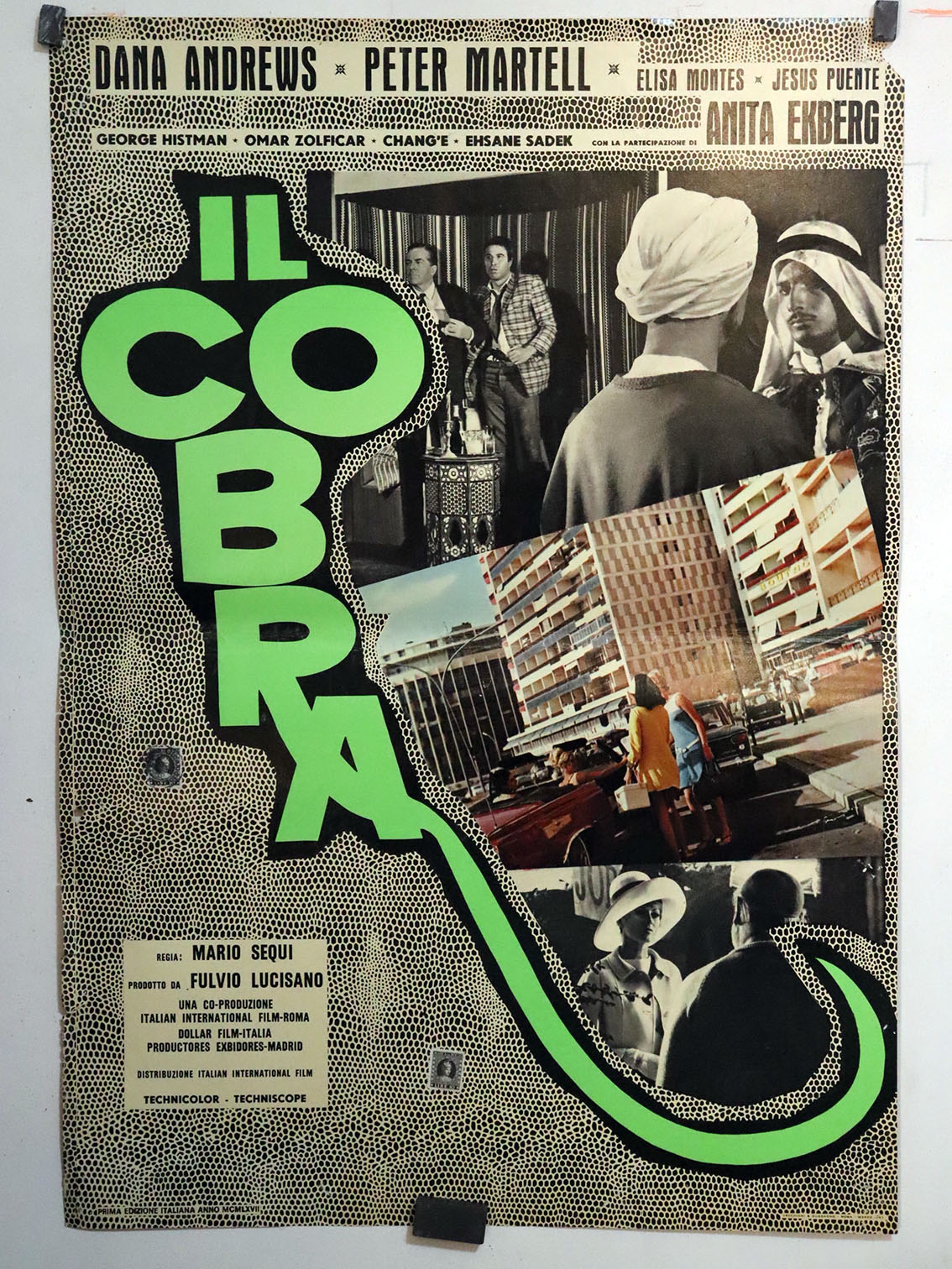 IL COBRA