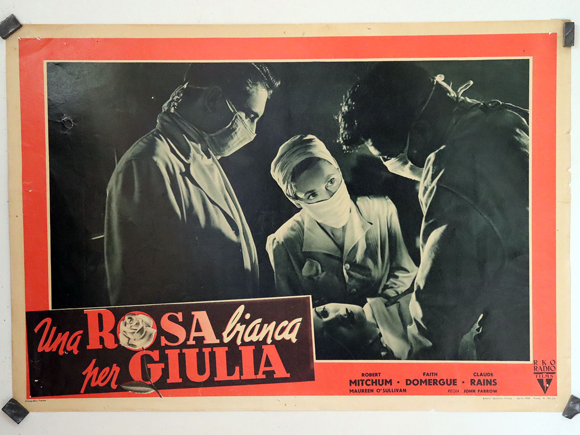 UNA ROSA BIANCA PER GIULIA