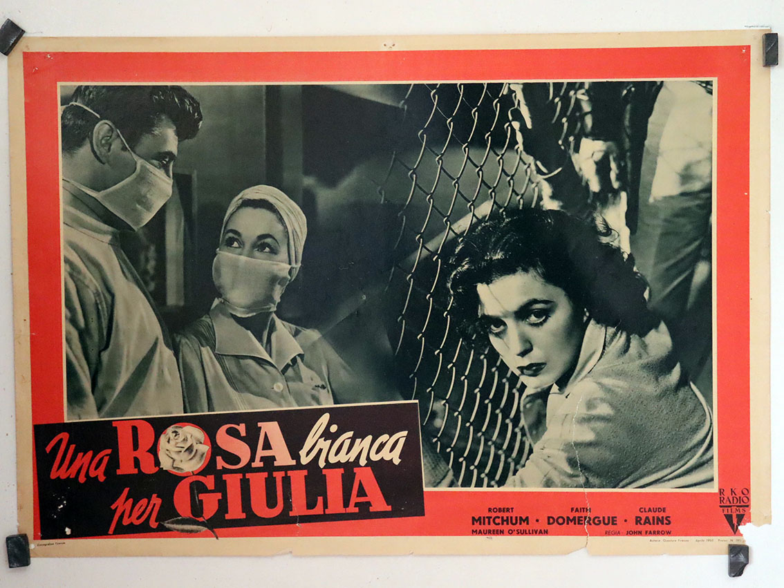 UNA ROSA BIANCA PER GIULIA