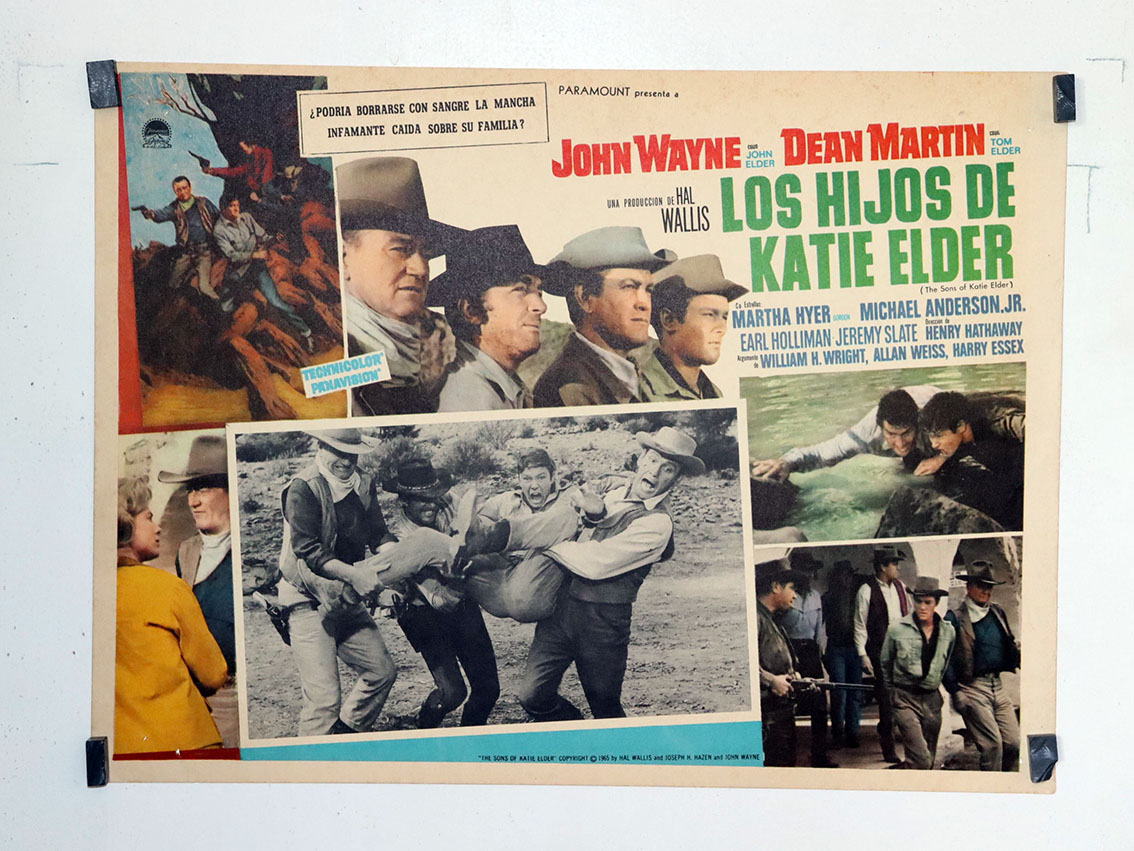 LOS HIJOS DE KATIE ELDER