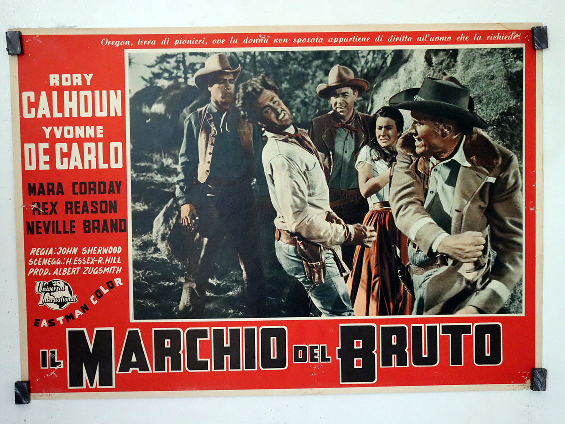 IL MARCHIO DEL BRUTO