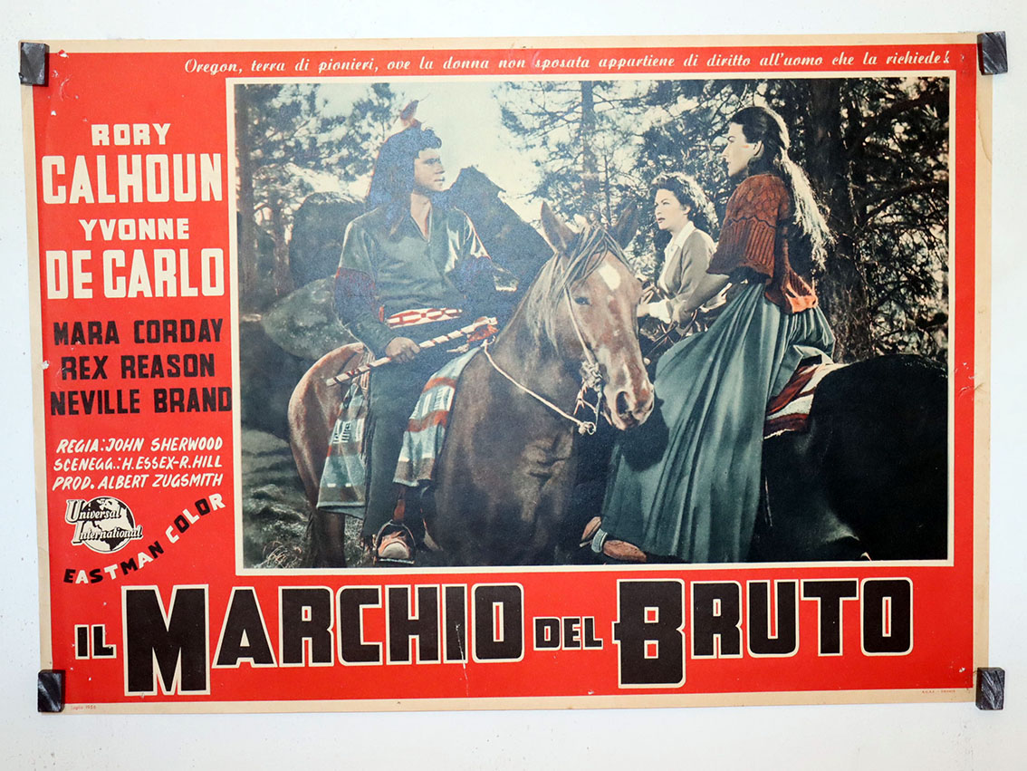 IL MARCHIO DEL BRUTO