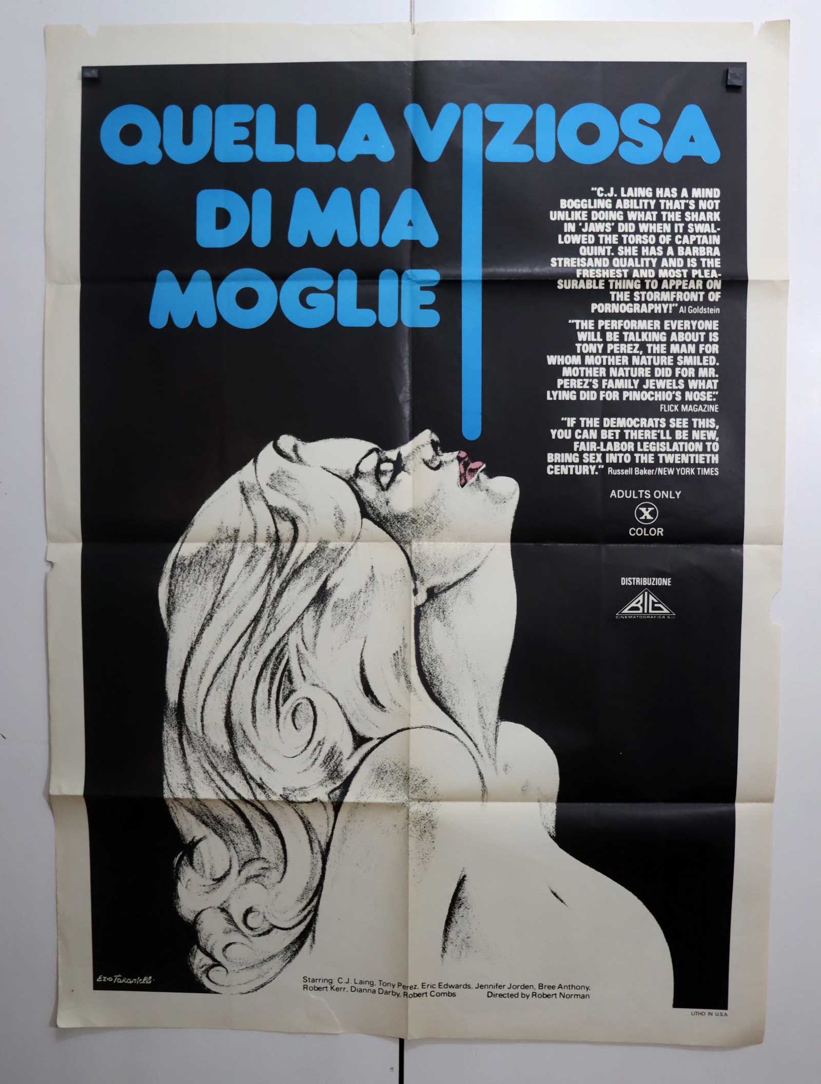 QUELLA VIZIOSA DI MIA MOGLIE