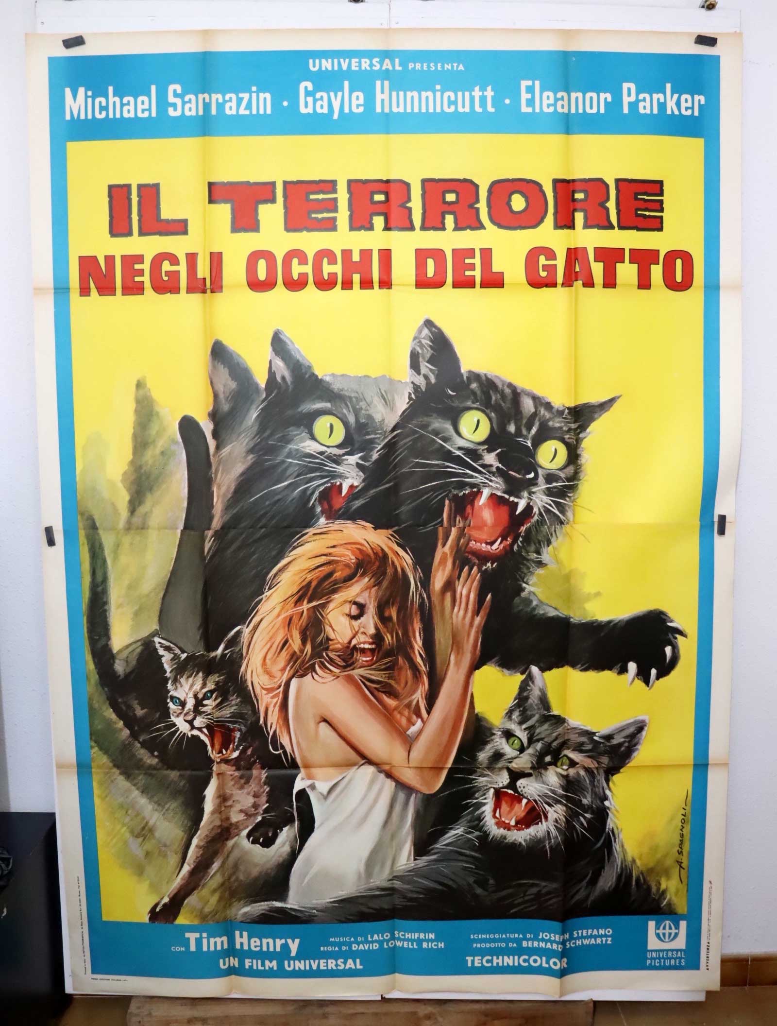 IL TERRORE NEGLI OCCHI DEL GATTO