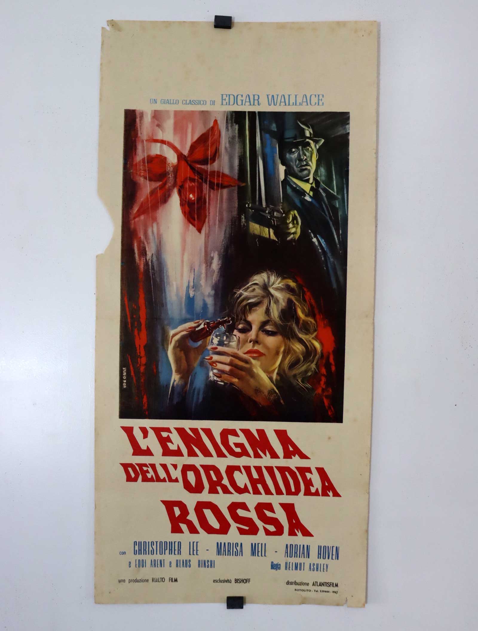 LENIGMA DELLORCHIDEA ROSSA