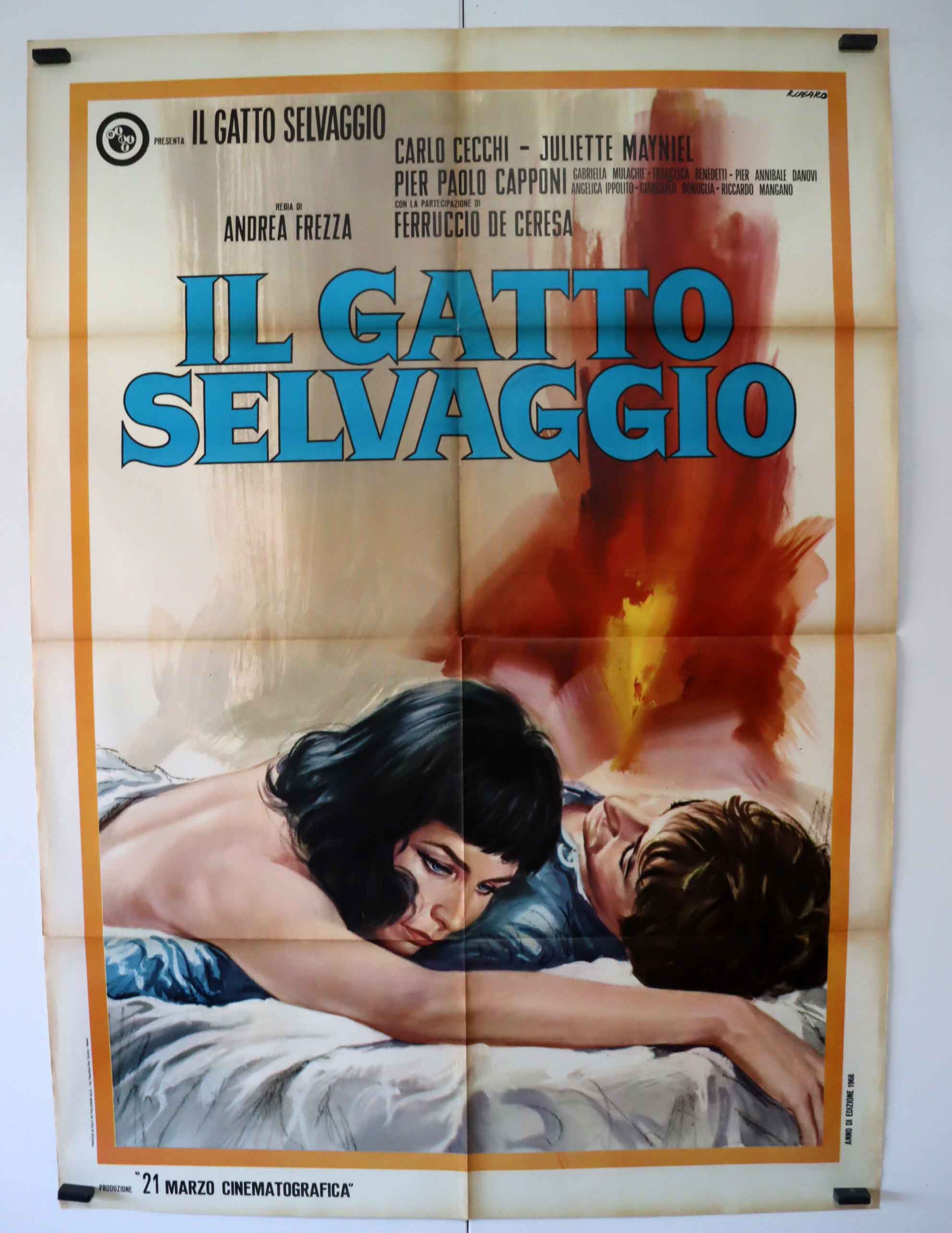IL GATTO SELVAGGIO