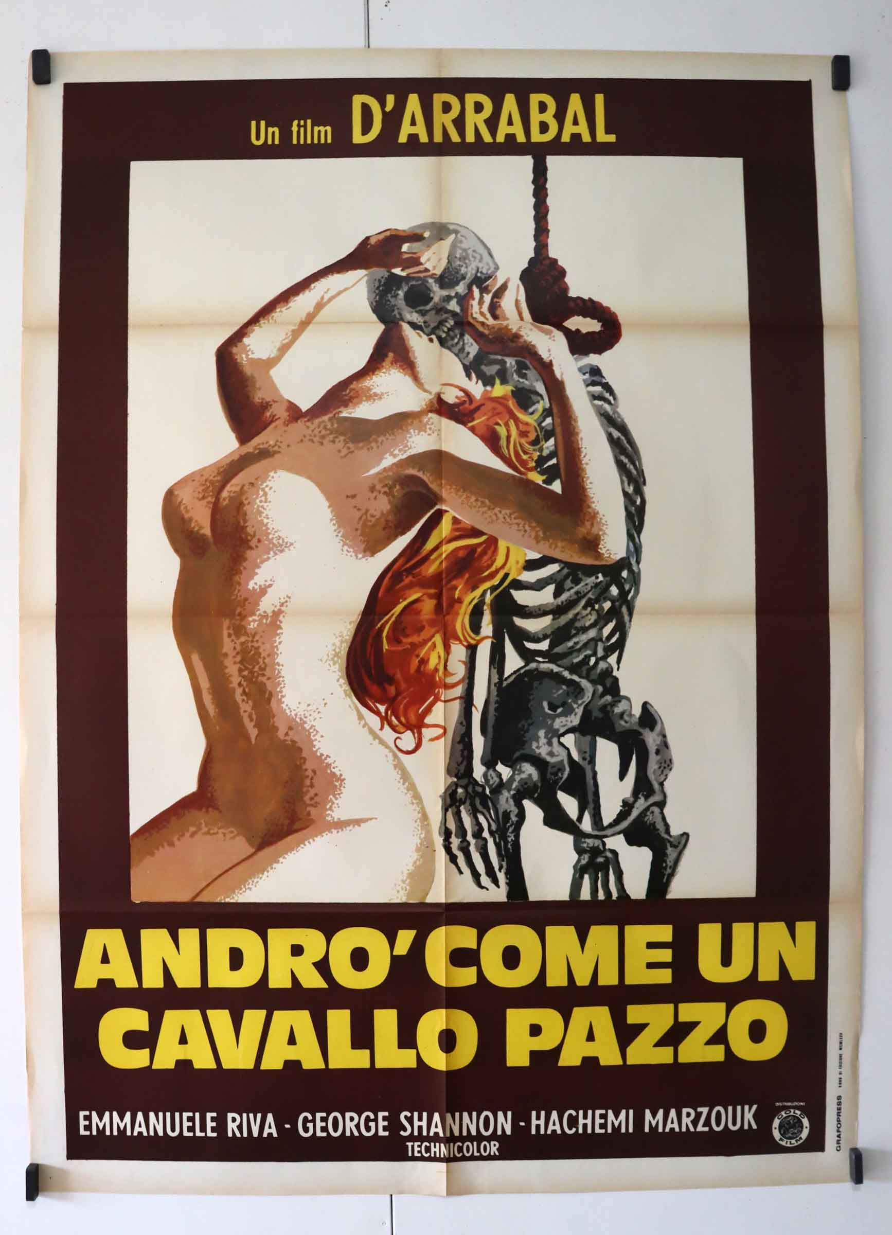 ANDRO COME UN CAVALLO PAZZO