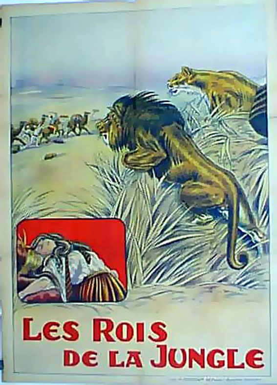 ROIS DE LA JUNGLE, LES