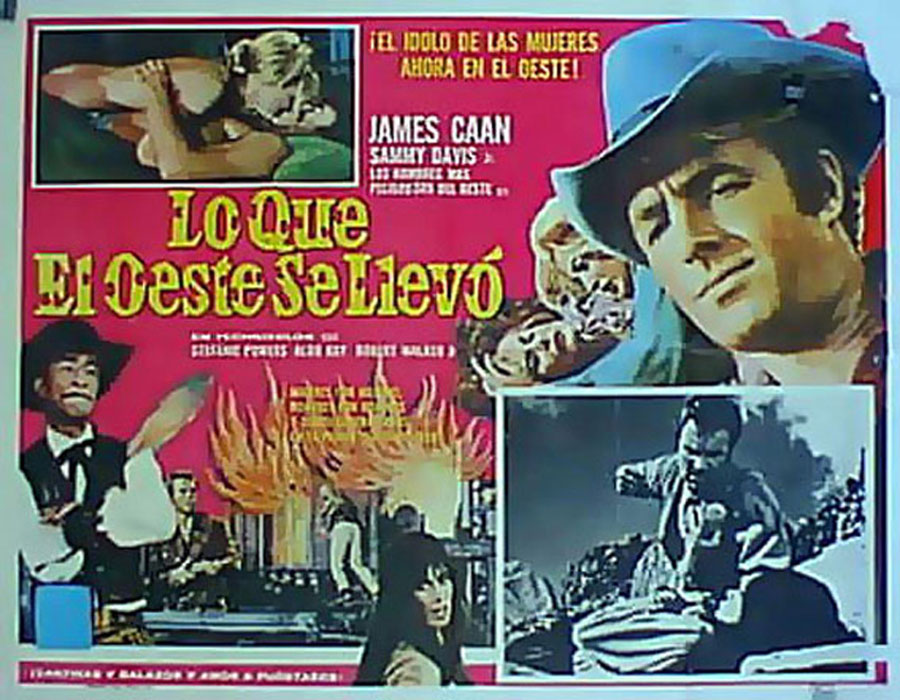 LO QUE EL OESTE SE LLEVO
