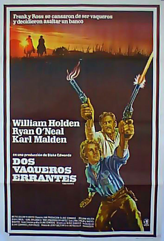 DOS VAQUEROS ERRANTES