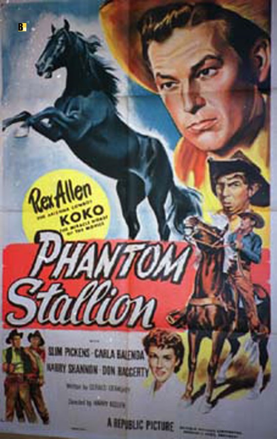PHANTOM STALLION