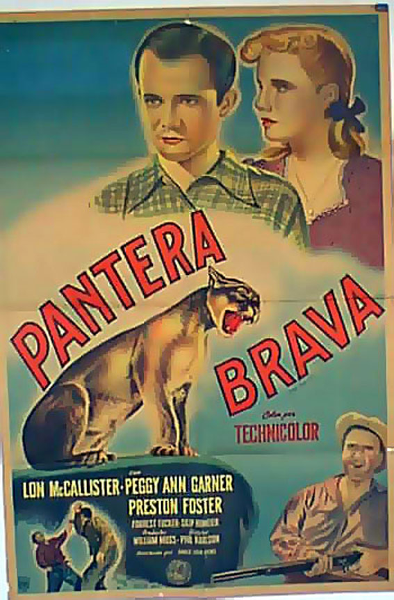 PANTERA BRAVA
