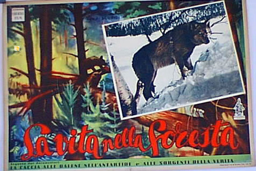 VITA NELLA FORESTA, LA