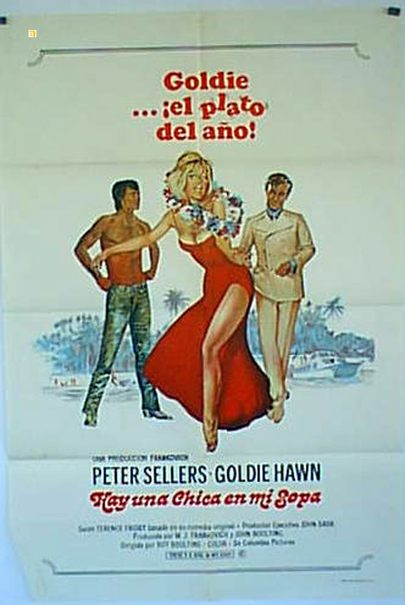 HAY UNA CHICA EN MI SOPA