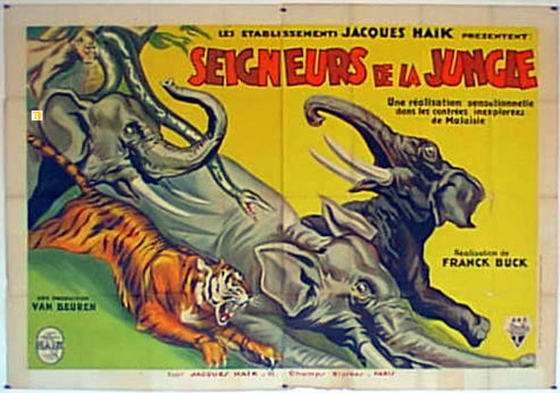 SEIGNEURS DE LA JUNGLE