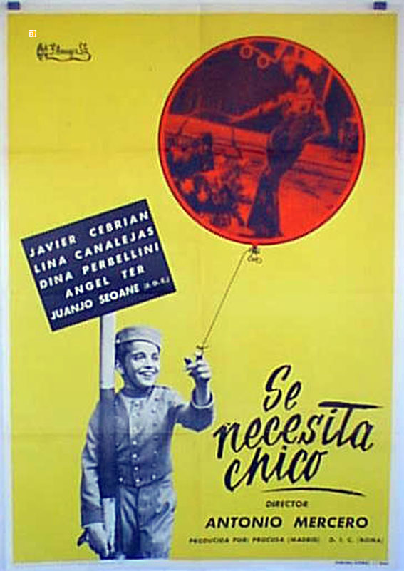 SE NECESITA CHICO