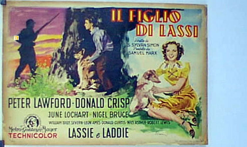 FIGLIO DI LASSIE, IL