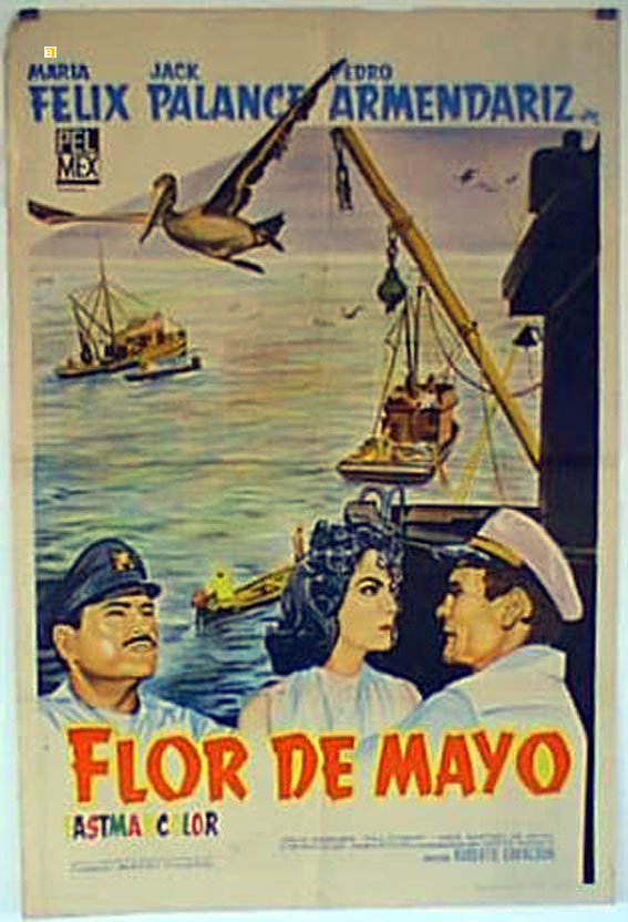 FLOR DE MAYO