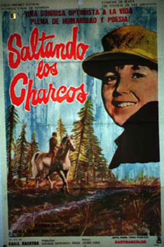 SALTANDO LOS CHARCOS