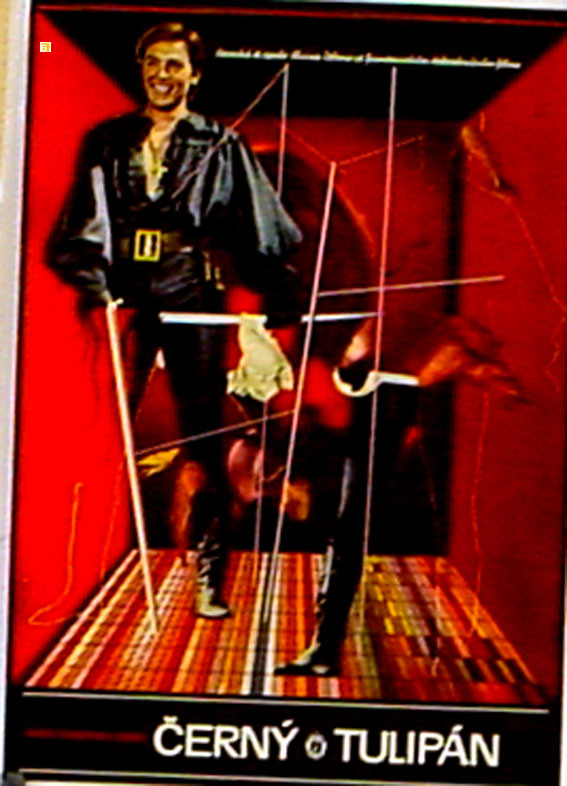 CERNY TULIPAN
