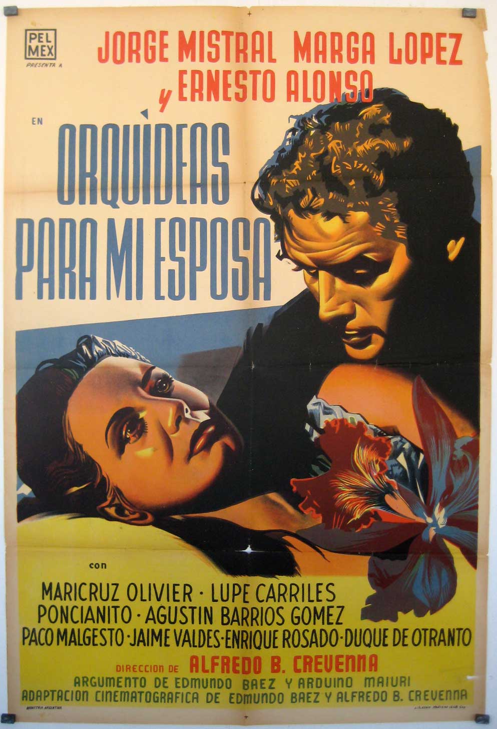 ORQUIDEAS PARA MI ESPOSA