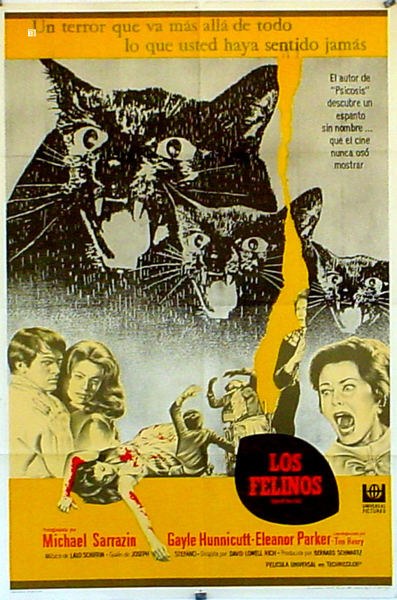 FELINOS, LOS