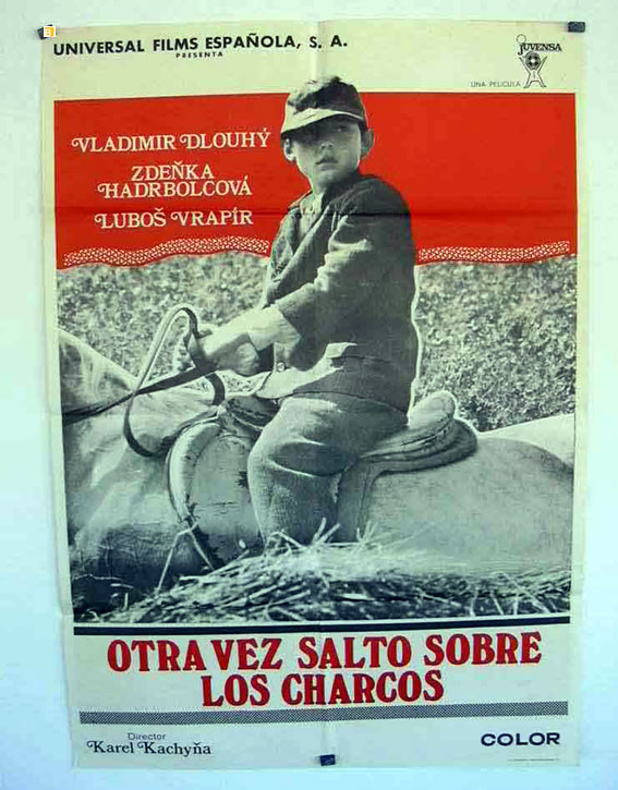 OTRA VEZ SALTO SOBRE LOS CHARCOS