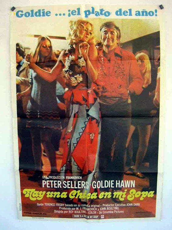 HAY UNA CHICA EN MI SOPA