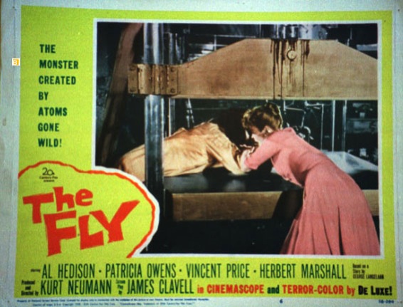 FLY, THE