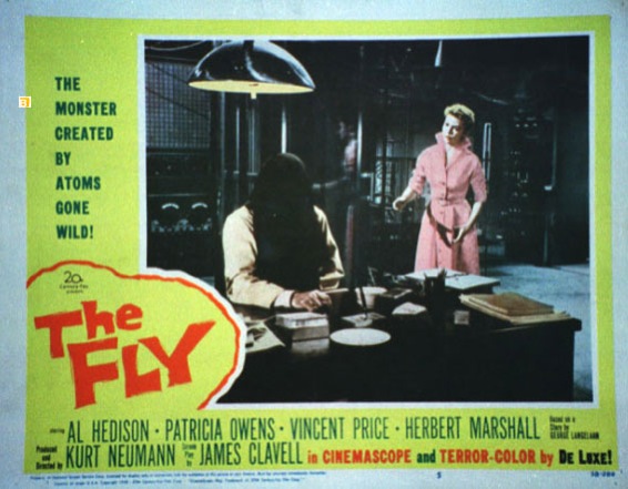 FLY, THE