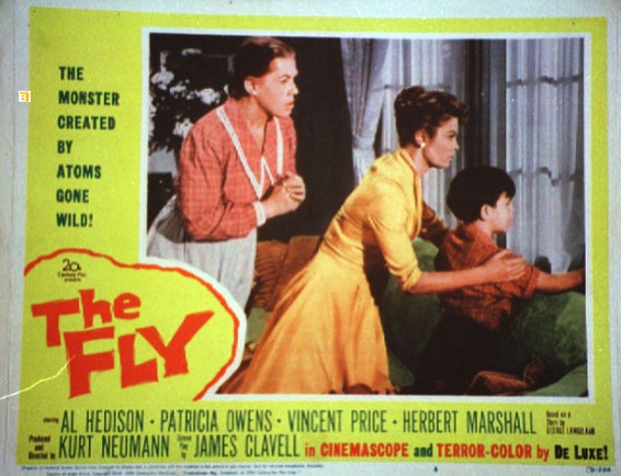 FLY, THE