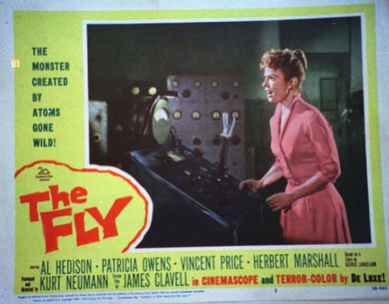 FLY, THE