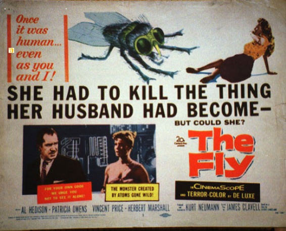 FLY, THE