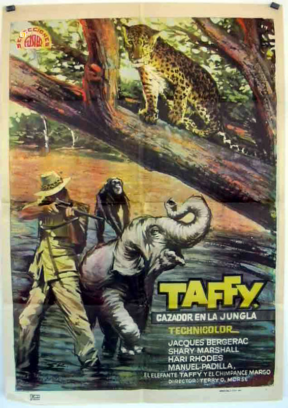 TAFFY CAZADOR EN LA JUNGLA