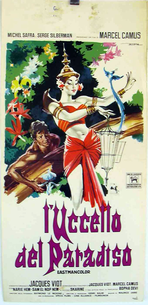 UCCELLO DEL PARADISO, L�