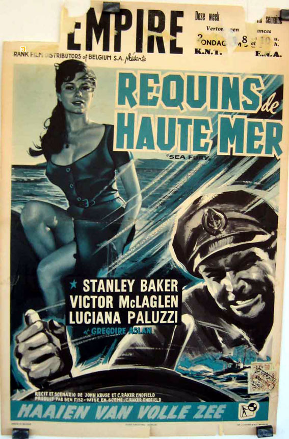 REQUINS DE HAUTE MER