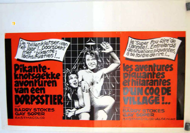 AVENTURES PIQUANTES ET HILARANTES DUN COQ DE VILLAGE