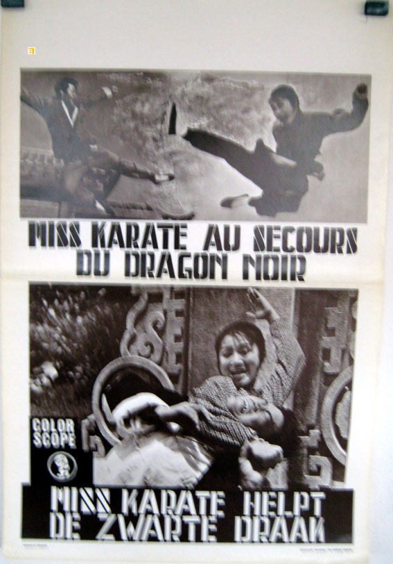MISS KARATE AU SECOURS DU DRAGON NOIR