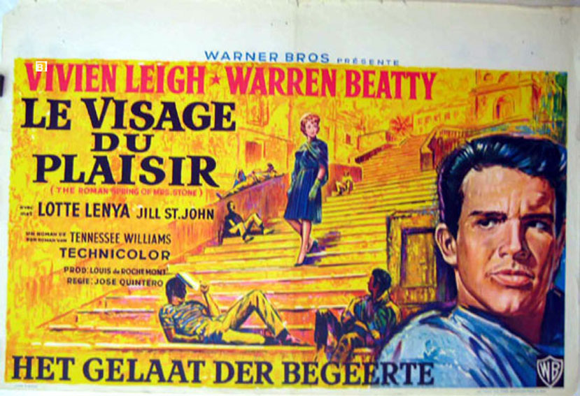 VISAGE DU PLAISIR, LE