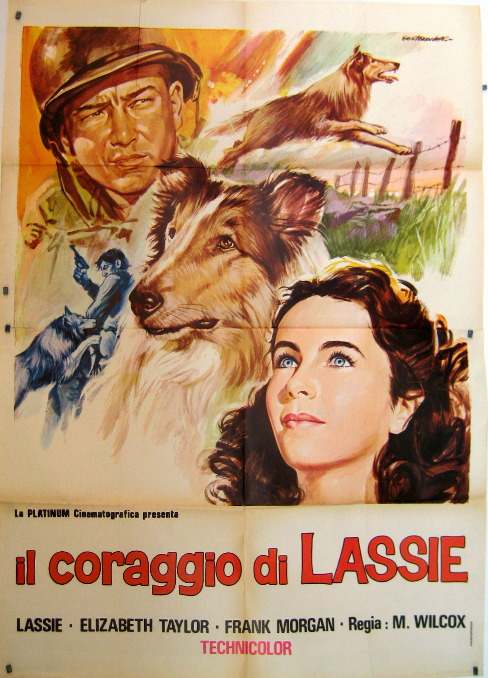 Courage of Lassie Original 1946 Argentine Movie Poster