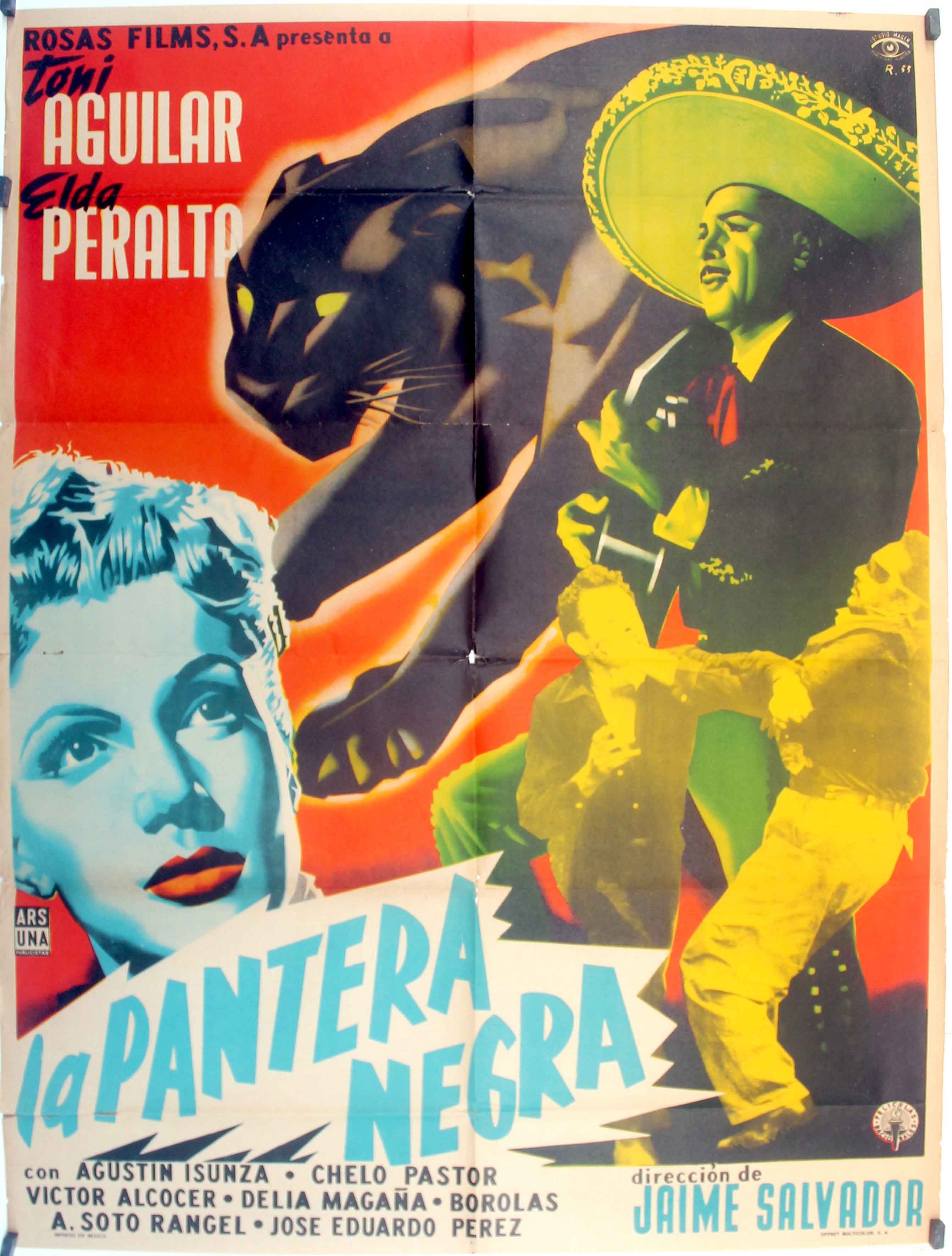 PANTERA NEGRA