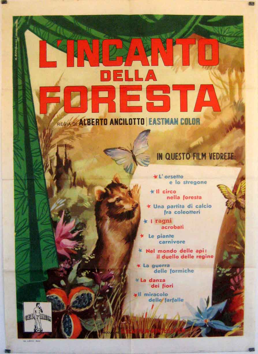 L'INCANTO DELLA FORESTA 