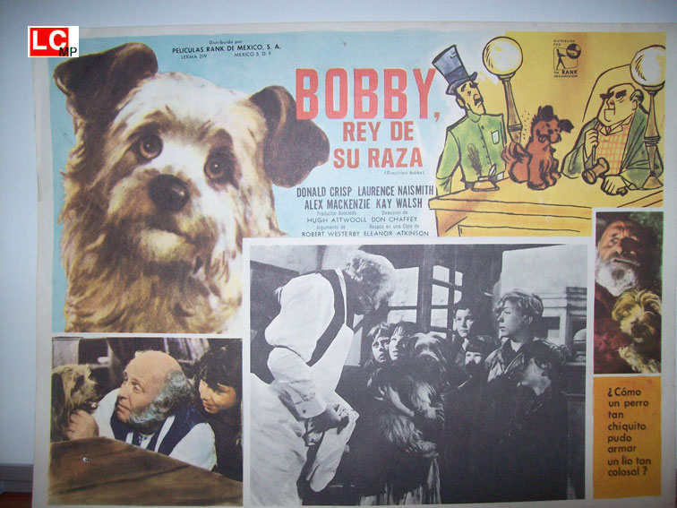 BOBBY REY DE SU RAZA