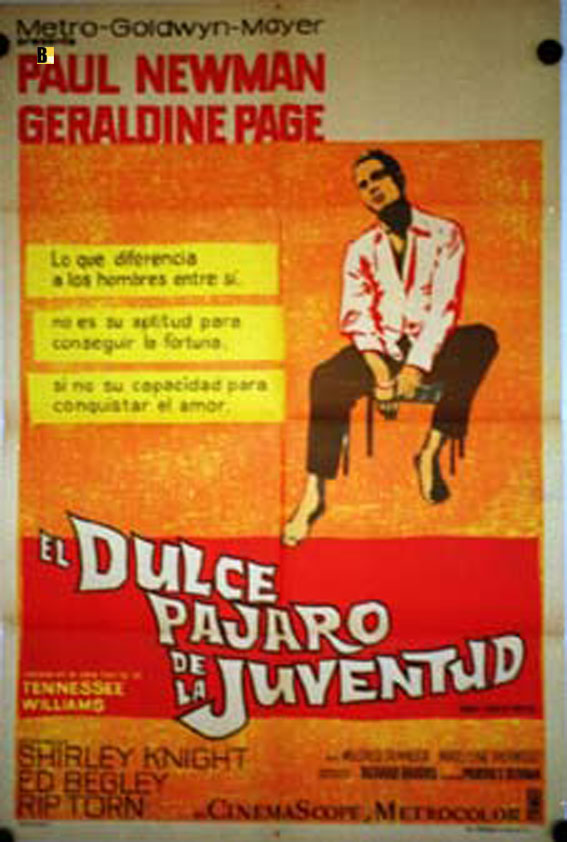 DULCE PAJARO DE LA JUVENTUD, EL
