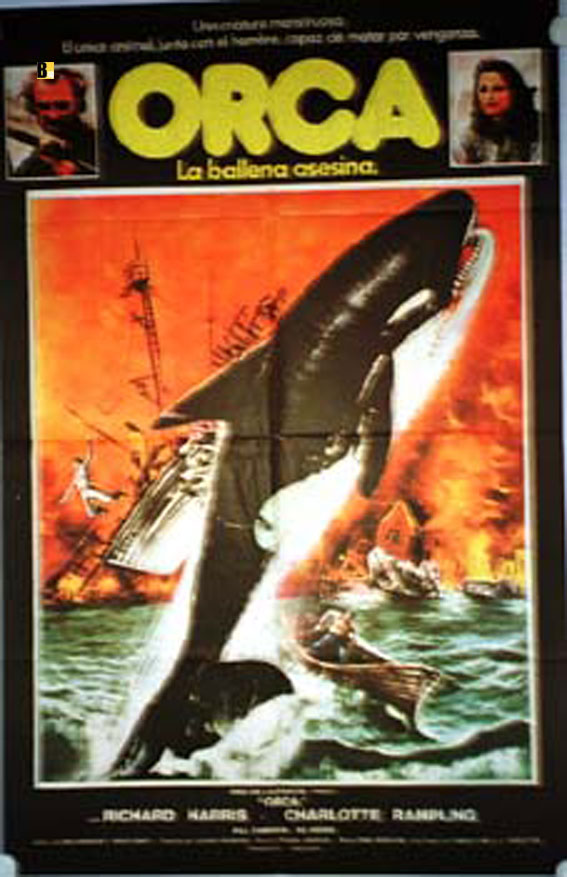 ORCA, LA BALLENA ASESINA