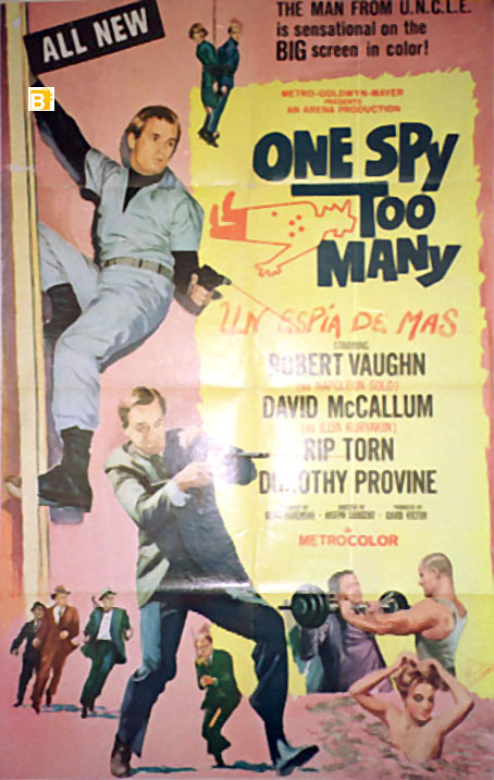 ONE SPY TOO MANY